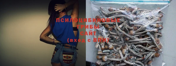 дмт Арсеньев