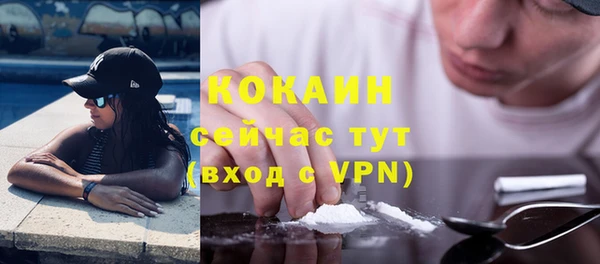 дмт Арсеньев