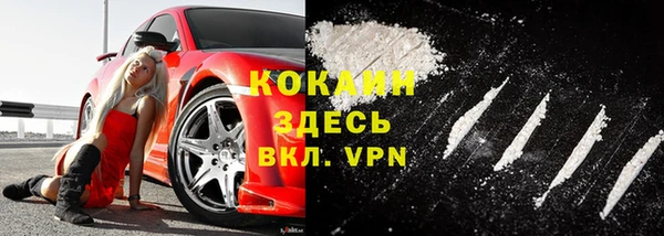 дмт Арсеньев