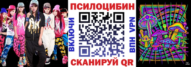 хочу наркоту Олёкминск Псилоцибиновые грибы Psilocybe